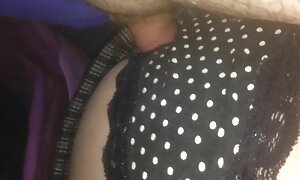 خر در معرض خطر عکسای کیرتوکس است